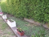 20150503_103431