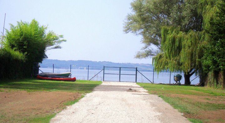 Ingresso